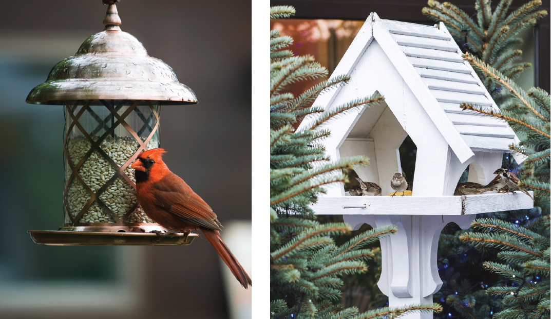 Peanut Butter House Holder Black Metal Adorned with Bird Wildbirds Feeder 